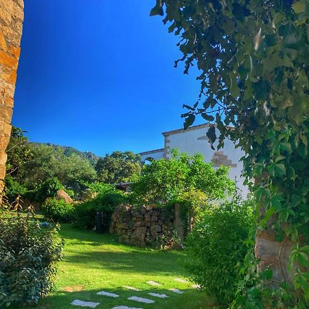 Agriturismo Casteddu Padru Exterior photo